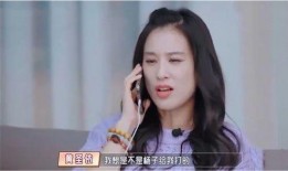 浪仔爆料张书睿妈妈视频,揭秘背后真相